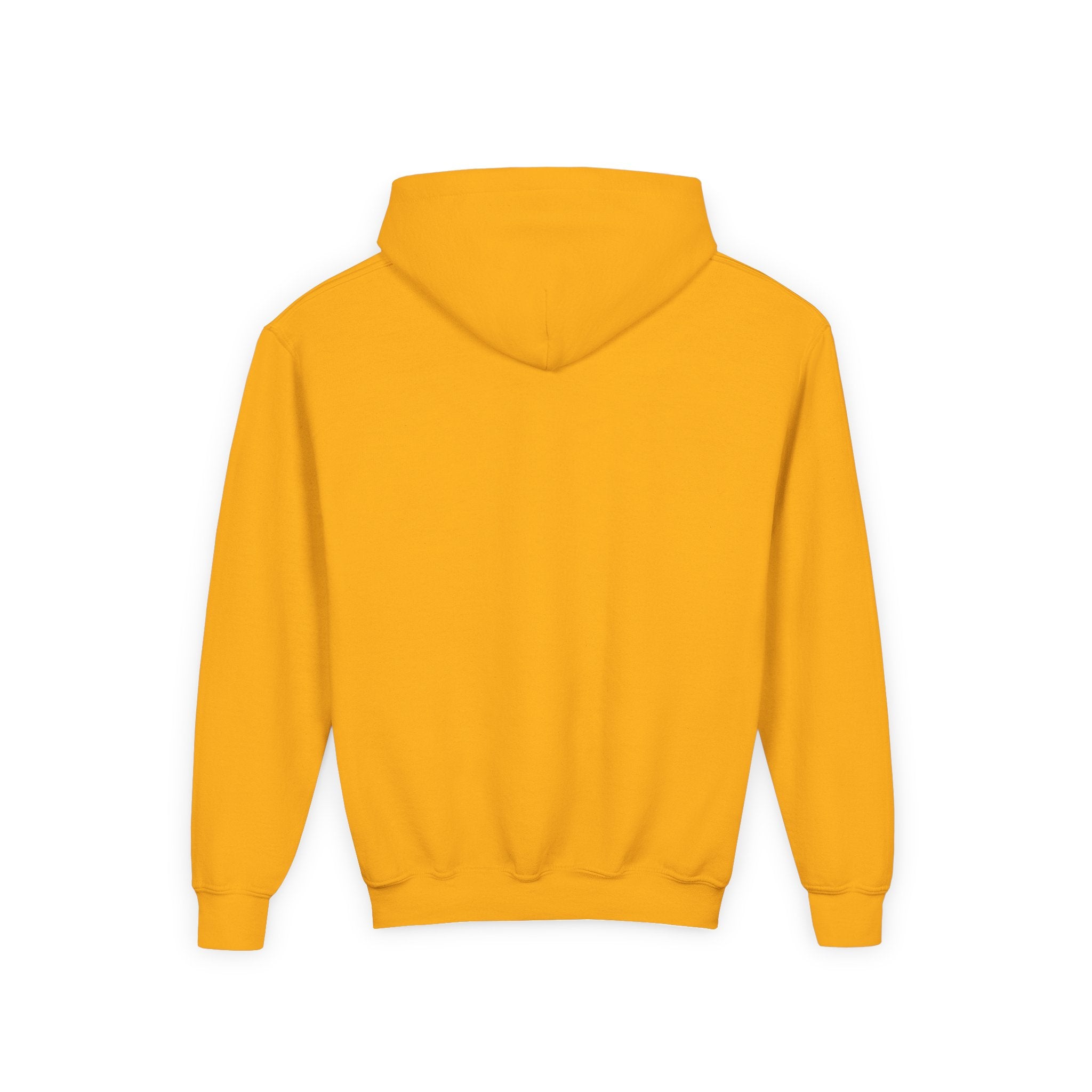 Route 66 Youth Hoodie — Retro Road Trip Graphic Sweatshirt